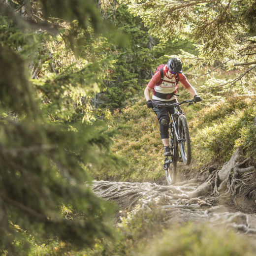 The Wurzeltrail ist 3.7 km long | © Heiko Mandl The Wurzeltrail ist 3.7 km long | © Heiko Mandl