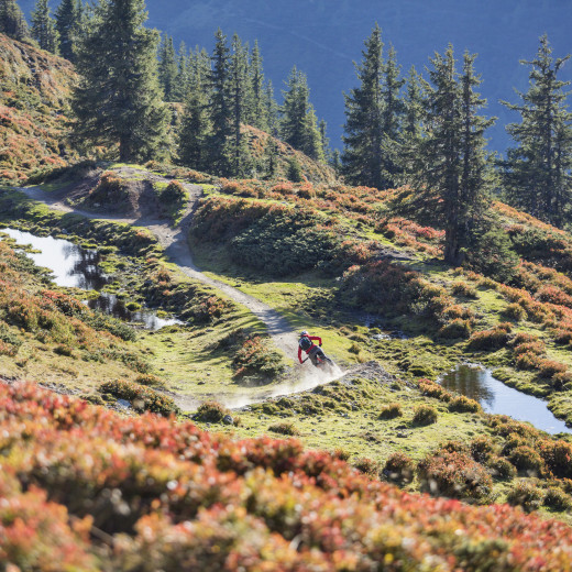 Hacklbergtrail a pure Freeride delight | © Heiko Mandl Hacklbergtrail a pure Freeride delight | © Heiko Mandl