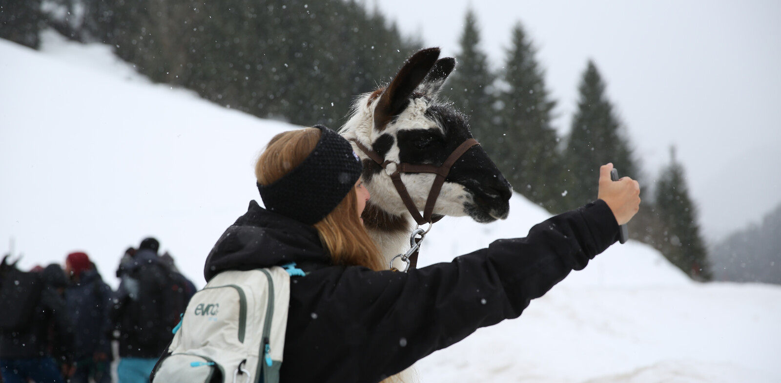 Biite Lächeln! | © Lulu Brinkschulte