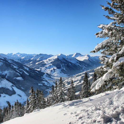 Aussicht vom Kohlmaiskopf | © Gesa Temmen