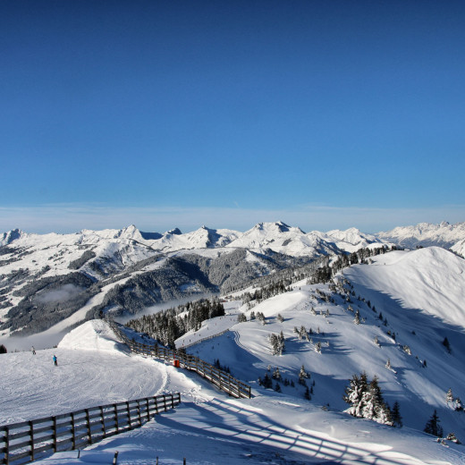 Aussicht von der Wildenkarhütte | © Ges Temmen