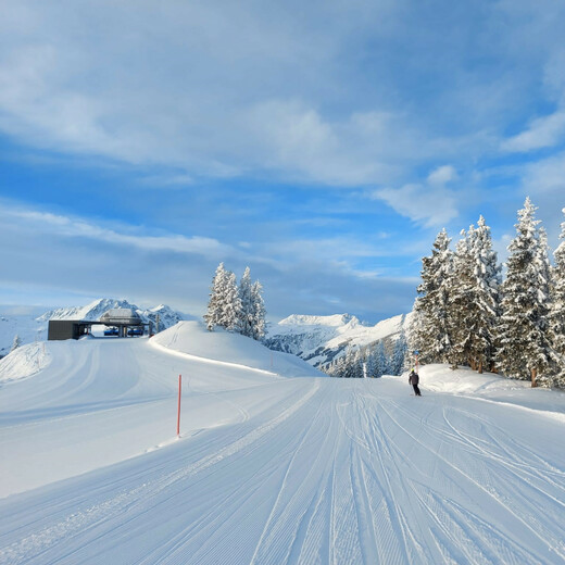 Winter Wonderland for Early Birds | © Michaela Mitterer