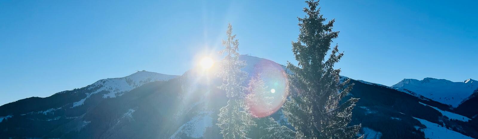 Hallo Sonnenschein! | © Michaela Mitterer