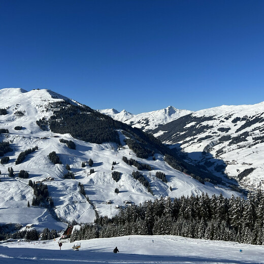 Good Morning World! | © Michaela Mitterer