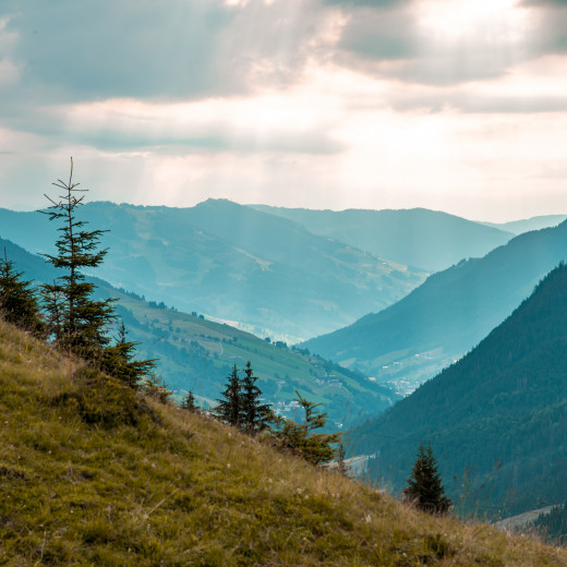 At Ossmannalm | © bestmountainartists At Ossmannalm | © bestmountainartists