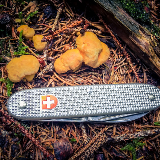 Always have your pocket knive with you | © Edith Danzer Always have your pocket knive with you | © Edith Danzer