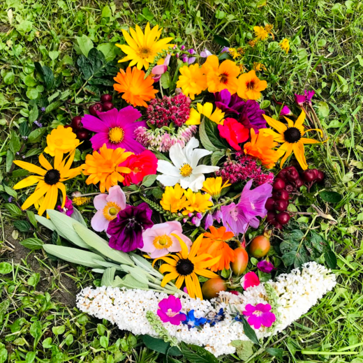 Blütenmandala | © Michaela Mitterer Blütenmandala | © Michaela Mitterer