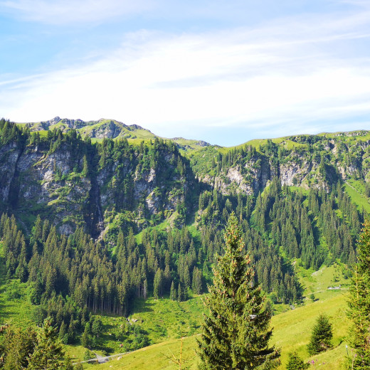 View towards the Saalwalls