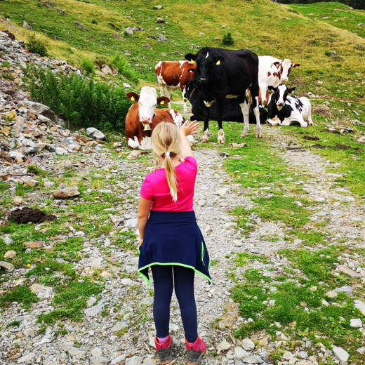 Thanks for the safe passage!