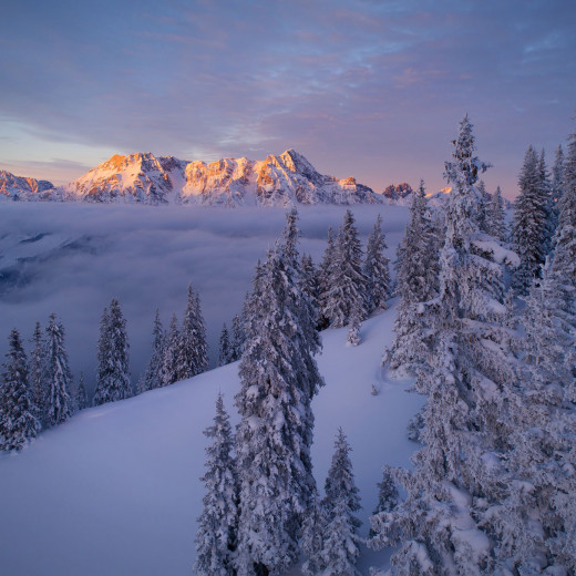 © Stefan Gimpl © Stefan Gimpl