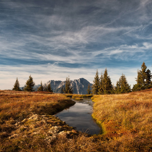 © Stefan Gimpl © Stefan Gimpl