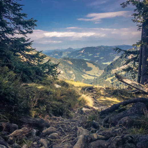 Klare Fernsicht im Herbst.  | © Edith Danzer