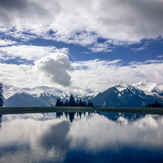 Zwei Jahreszeiten in einem Bild. | © Edith Danzer