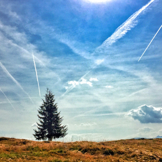 Herbstfarben | © Edith Danzer