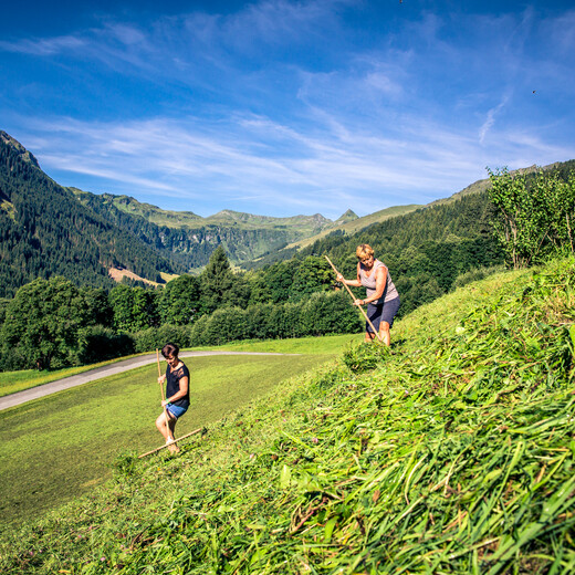 Andrea und Hanni beim Heign. | © Edith Danzer