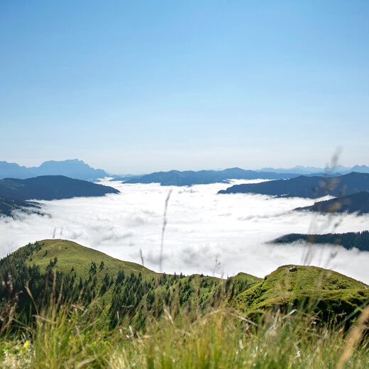 Eine eindrucksvolle Nebeldecke im Tal. | © Michelle Himbert Eine eindrucksvolle Nebeldecke im Tal. | © Michelle Himbert