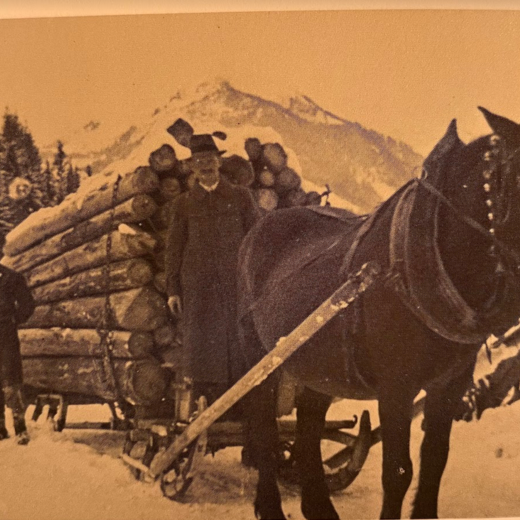 In the past, the horses had to pull the heavy logging | © Michaela Mitterer In the past, the horses had to pull the heavy logging | © Michaela Mitterer