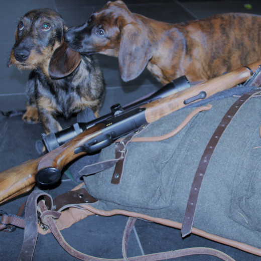 Die Hunde Viggerl und Django sind bereit | © Michaela Mitterer Die Hunde Viggerl und Django sind bereit | © Michaela Mitterer