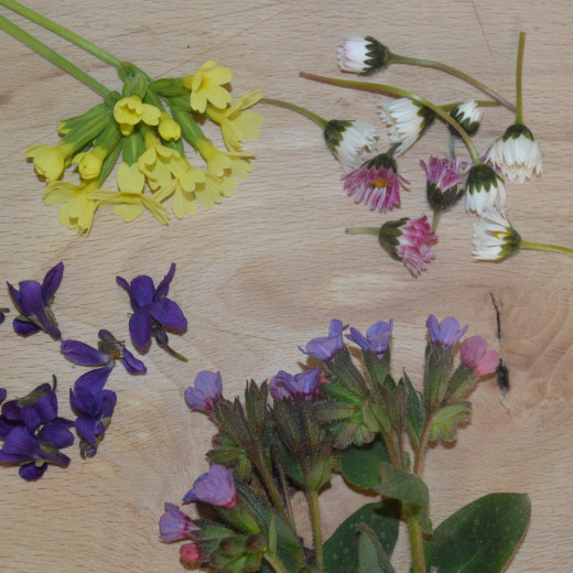 Essbare Blüten | © Susanne Mitterer Essbare Blüten | © Susanne Mitterer