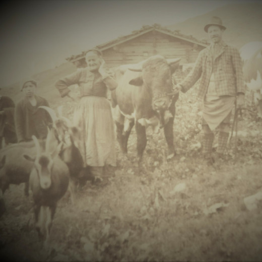 Sommerliche Arbeiten auf der Alm (1935) Sommerliche Arbeiten auf der Alm (1935)