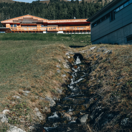 A drainage system helps to collect water