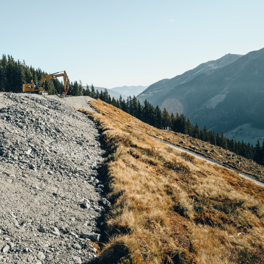 Relocated vegetation on the new outer dam