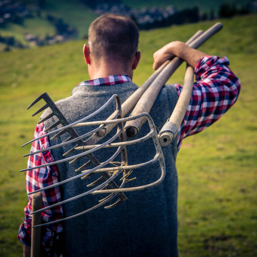 Proper tools for Schwenden | © Edith Danzer Proper tools for Schwenden | © Edith Danzer