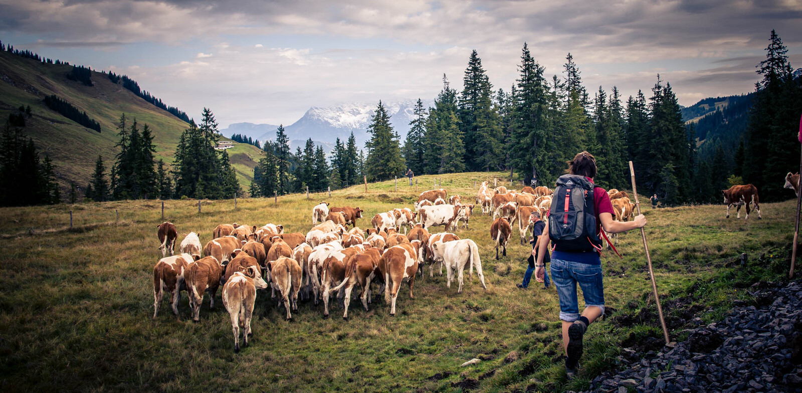 Kurz vor dem Übergang nach Tirol | © Edith Danzer