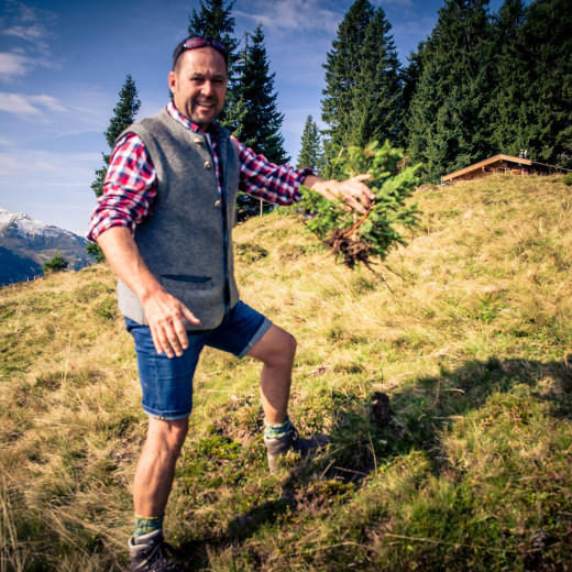 Pulling out little trees is Schwenden. | © Edith Danzer Pulling out little trees is Schwenden. | © Edith Danzer