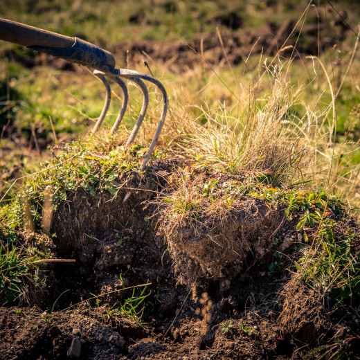 Waseln means repairing the sod. | © Edith Danzer Waseln means repairing the sod. | © Edith Danzer