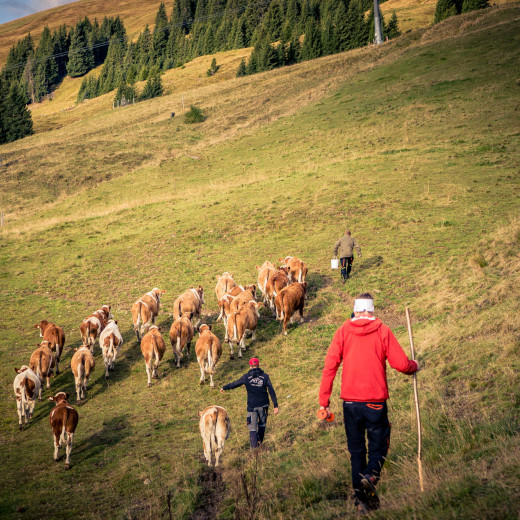 Let’s go home | © Edith Danzer Let’s go home | © Edith Danzer