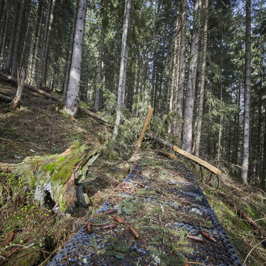 Winterschäden müssen beseitigt werden | © Daniel Roos Winterschäden müssen beseitigt werden | © Daniel Roos