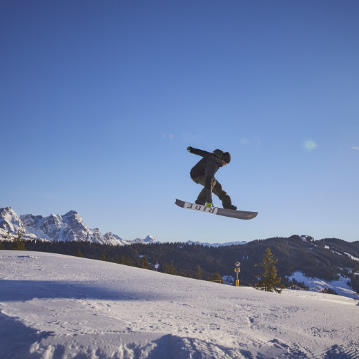 connecting work and passion