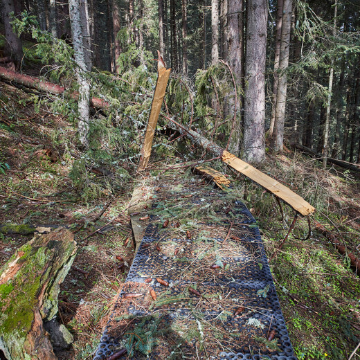Das übliche Bild nach dem Winter | © Daniel Roos