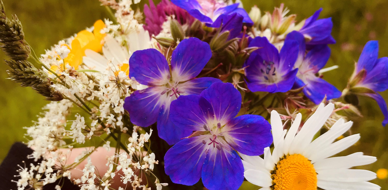 Summer solstice flower bouquet | © Michaela Mitterer