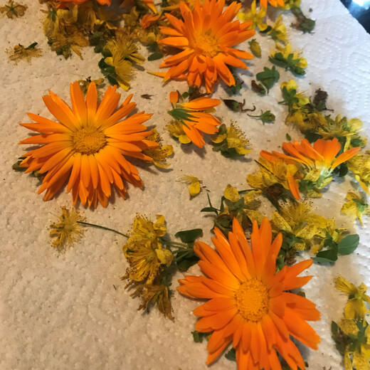 Herbs harvested around summer solstice | © Michaela Mitterer