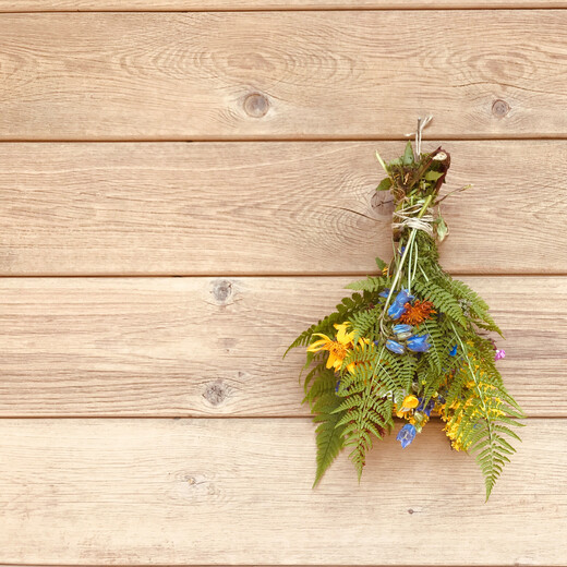 Weather Bush | © Michaela Mitterer