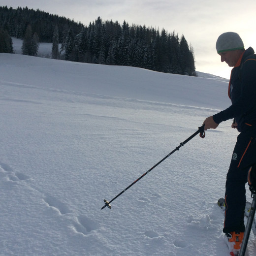Hasenspuren im Schnee | © Lulu Brinkschulte Hasenspuren im Schnee | © Lulu Brinkschulte