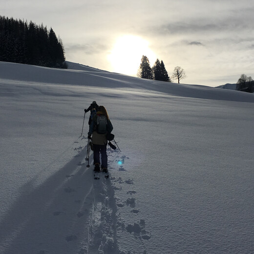 Der Sonne entgegen | © Lulu Brinkschulte Der Sonne entgegen | © Lulu Brinkschulte