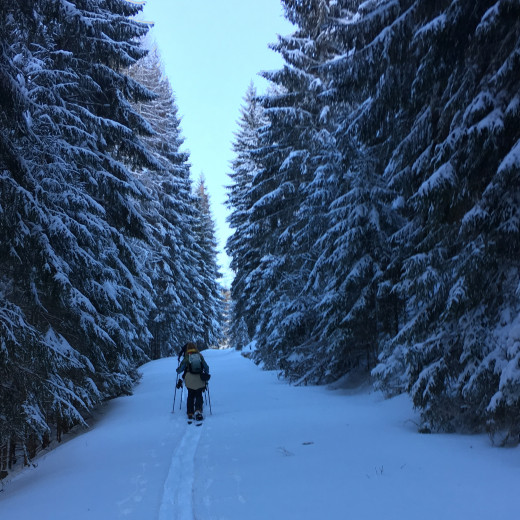 Weiter geht es durch den Wald. | © Lulu Brinkschulte Weiter geht es durch den Wald. | © Lulu Brinkschulte