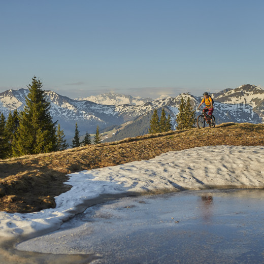 Der Krokus blüht | © c Daniel Roos