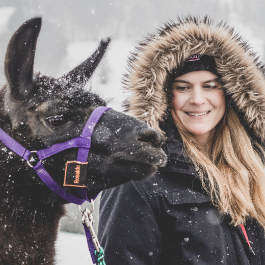 Lama Ronaldo und Roxy beim Trekking | © Kim Karisch