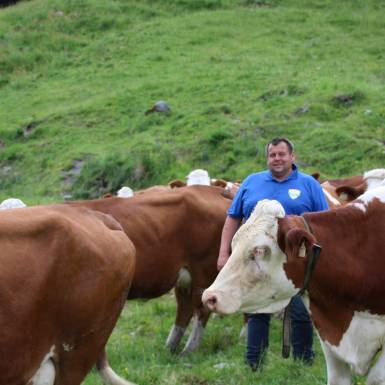 Günther Stöckl with his cattle | © Michaela Mitterer