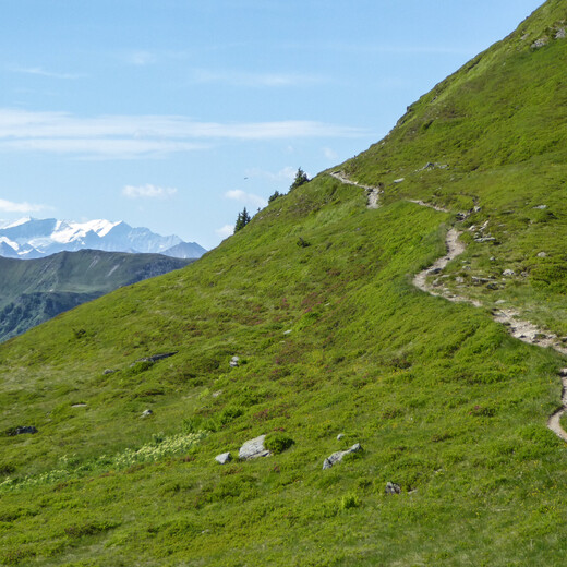 Gemütlicher Lauf mit Gletschersicht am Panoramatrail 2.0. | © Martin Moser Gemütlicher Lauf mit Gletschersicht am Panoramatrail 2.0. | © Martin Moser