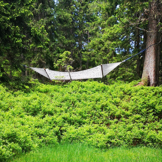 Hängematten im Wald Hängematten im Wald