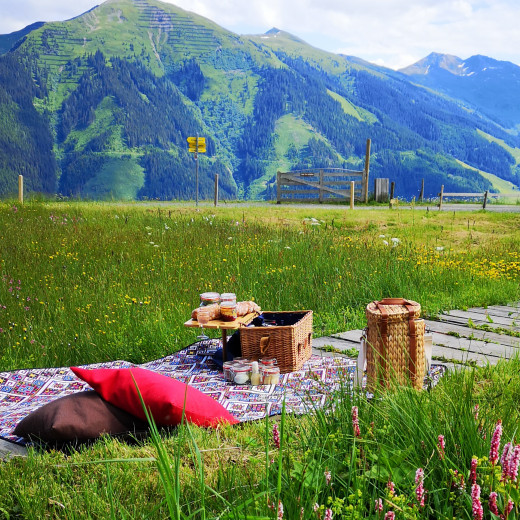 Picknick mit Aussicht Picknick mit Aussicht