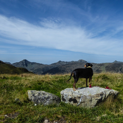 Pirie genießt die Aussicht.  | © gehlebt.at