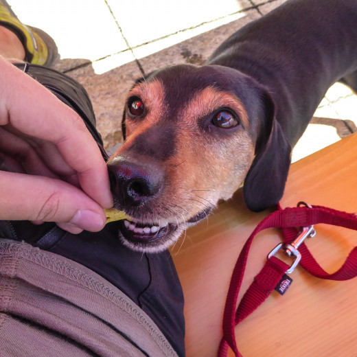 Die Belohnung gibt’s am Schluss. | © gehlebt.at