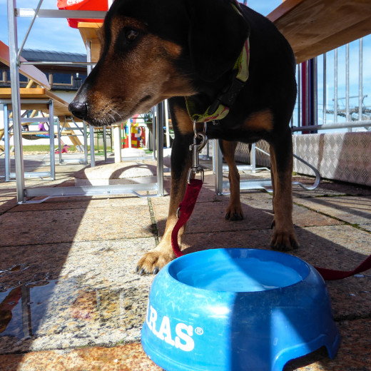 Heiße Bergtage erfordern ausreichend Wasser. | © gehlebt.at