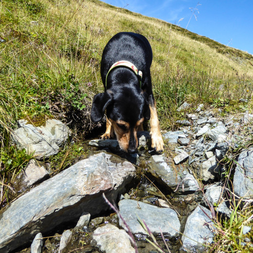 Erfrischung am Rückweg. | © gehlebt.at